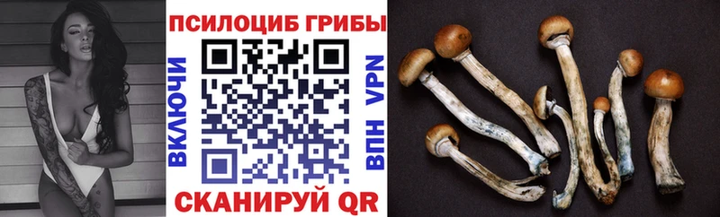 Купить закладки  Нестеровская  Галлюциногенные грибы Magic Shrooms 