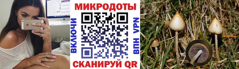 Псилоцибиновые грибы Magic Shrooms Нестеровская